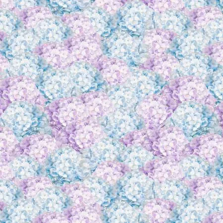 Purple/Blue Hydrangea