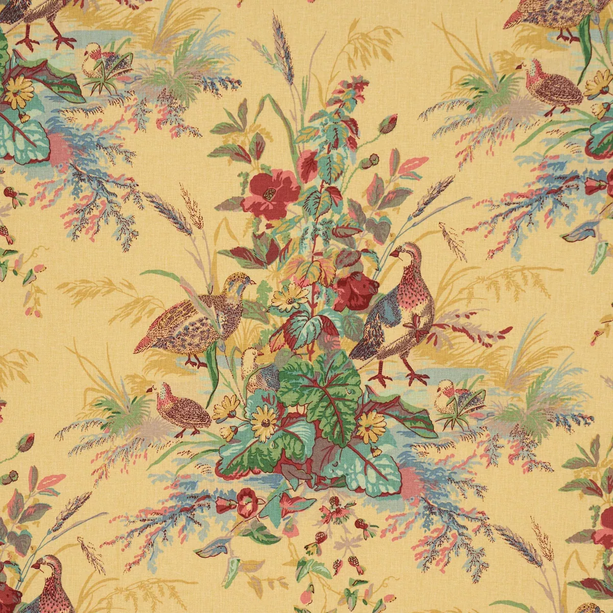 QUAIL MEADOW SPRING