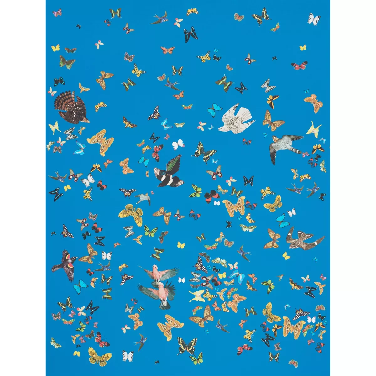 queen-s-flight-panel-set-royal-blue QUEEN'S FLIGHT PANEL SET ROYAL BLUE