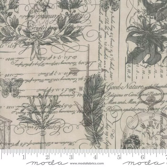 Quill Parchment 44150 11