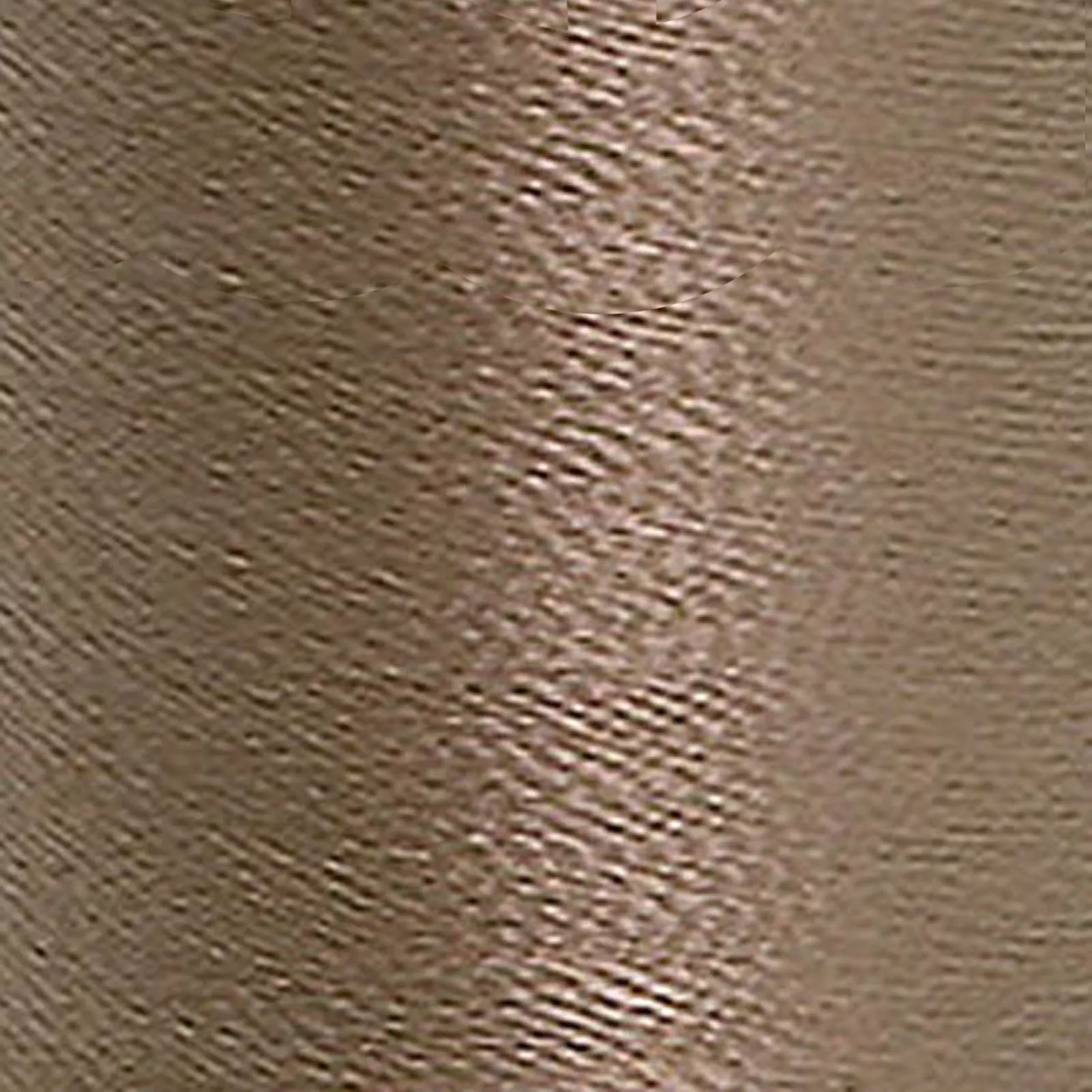 Rayon 40 Solid Lt PuttyMadeira 9840-1060