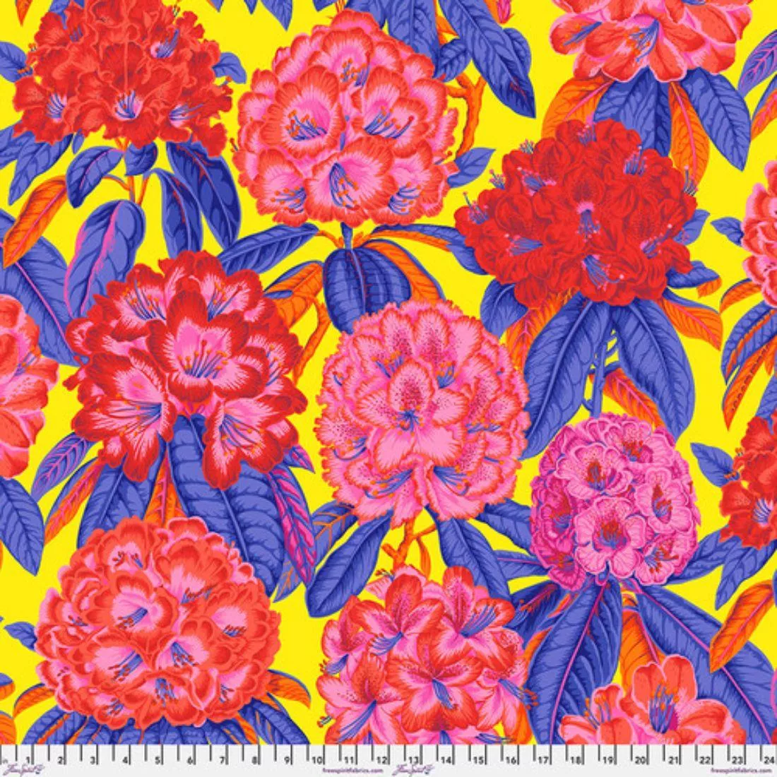 Rhododendrons Hot by Philip Jacobs