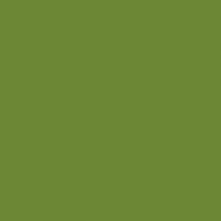Riley Blake Confetti Cottons Color Olive
