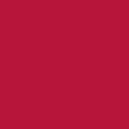 Riley Blake Confetti Cottons Color Redwood