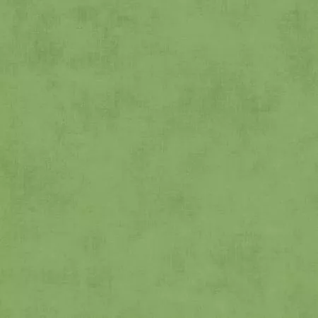Riley Blake Shades Green