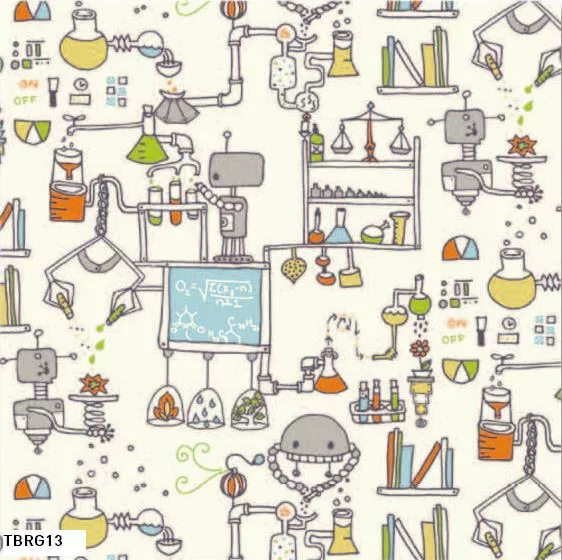Robotic – TBRG13