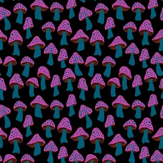 Ruby Star Darlings 2 Fabric RS505714