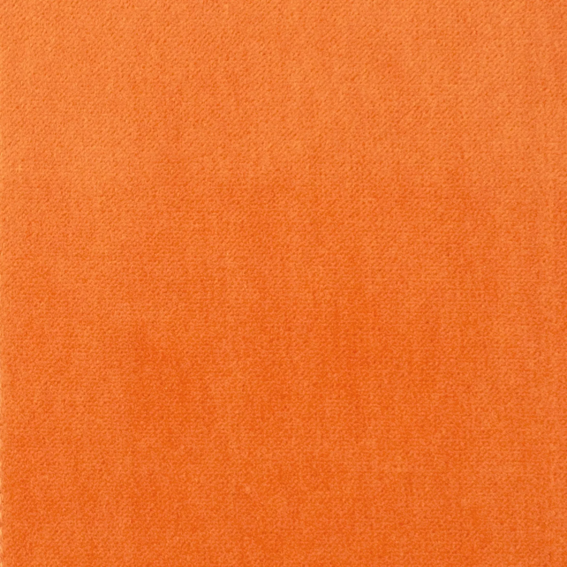 s1065 S1065
