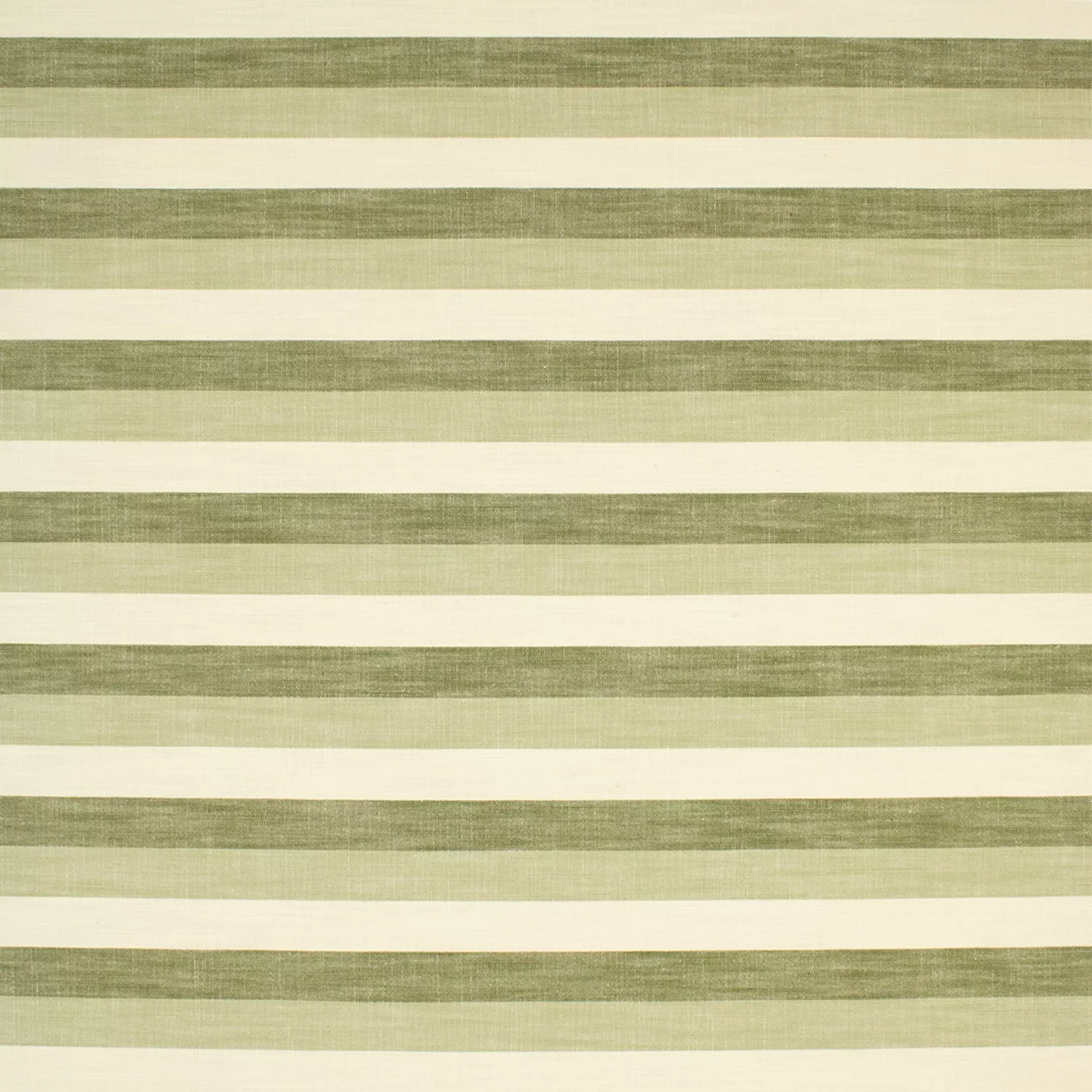 S6939 Agave