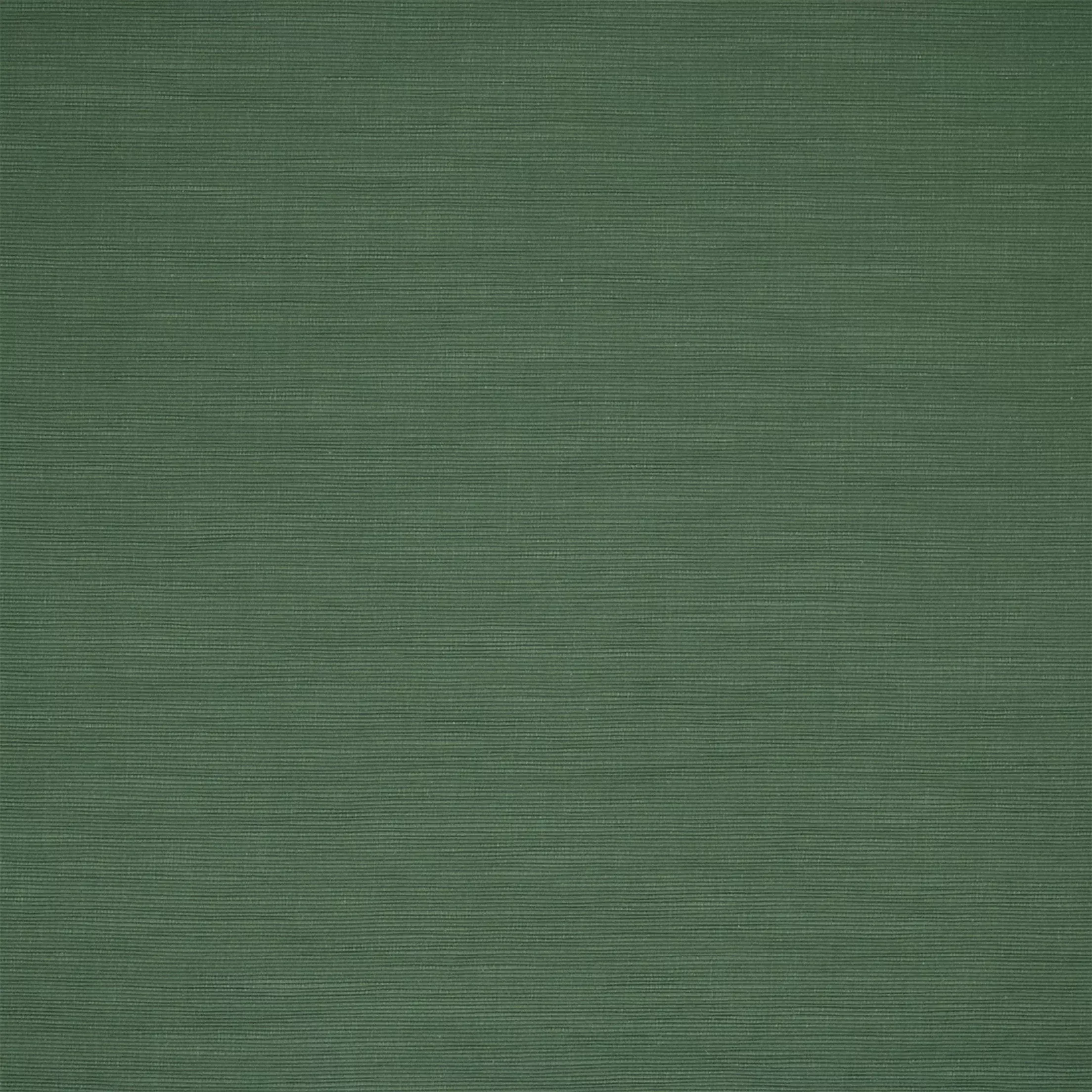 s7172-fern S7172 Fern