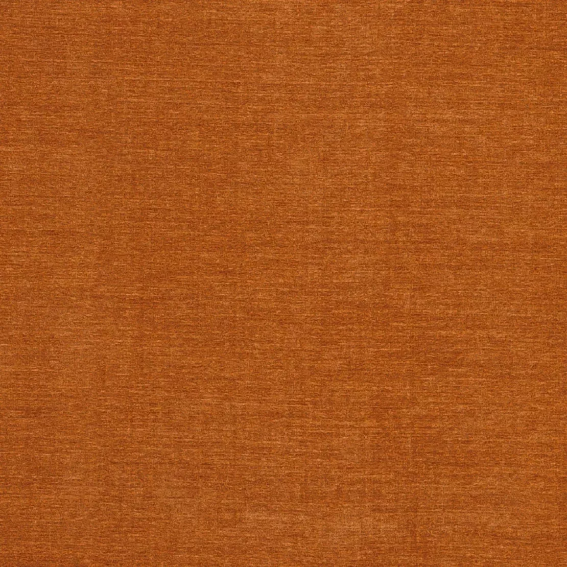 saffron-chenille Saffron Chenille