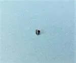 SCREW Singer 221 Bob Case Latch