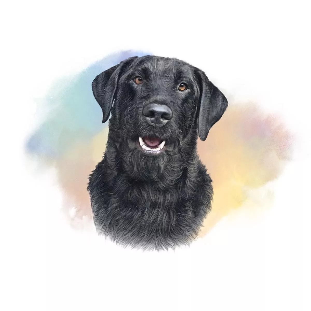 scruffy-black-labrador-retriever-portrait-fabric-panel Scruffy Black Labrador Retriever Portrait Fabric Panel