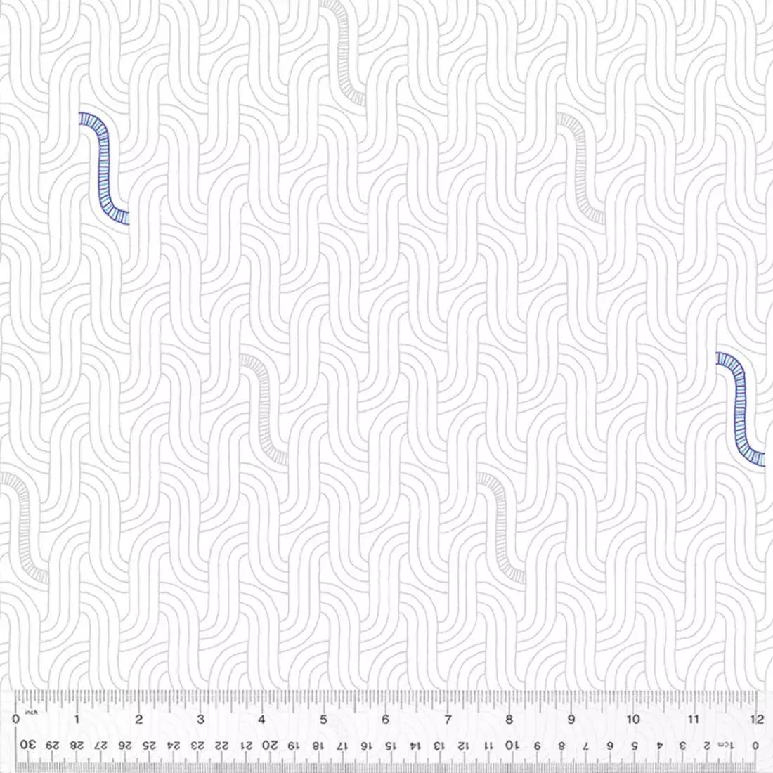 Serpentine Paper by Shayla Wolf