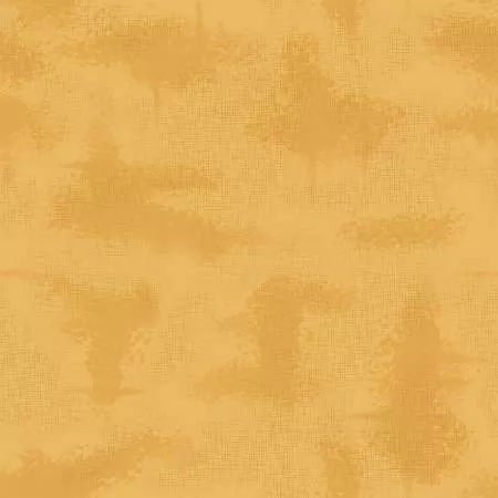 Shabby Color Honey