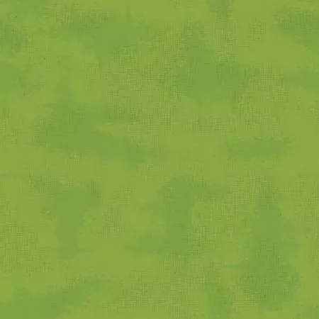 Shabby Color Turtle