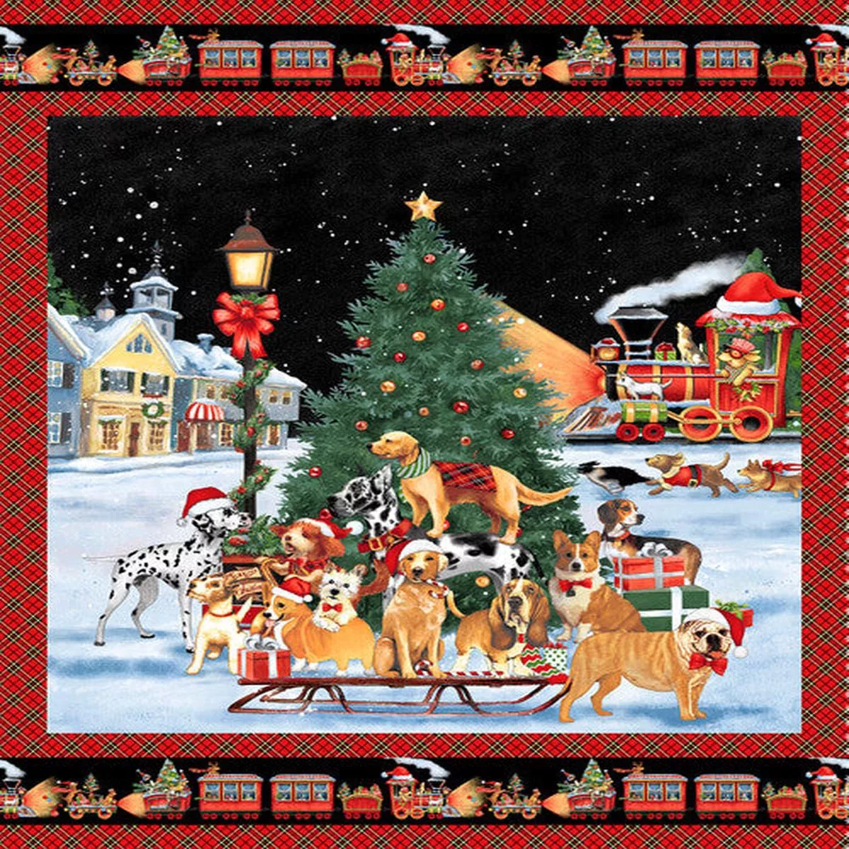 Snow Dog Express Panel