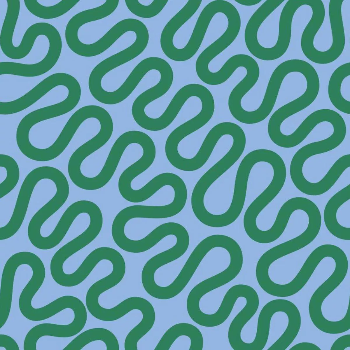 Squiggle Spring by Emily Van Hoff