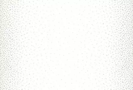 Studio E Terrazzo Snippets White