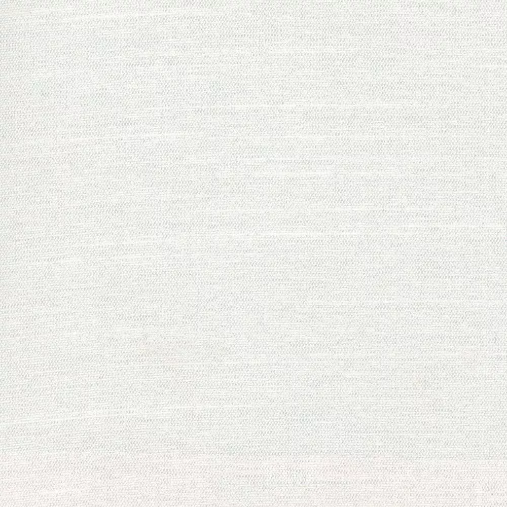 succulent-white Succulent White