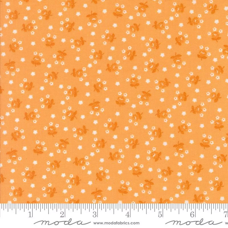 Summertime Orange 55328 15