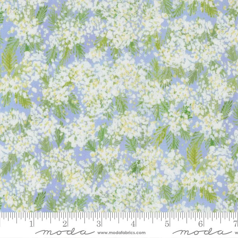 Sweet Cecily24642 13 Hyacinth