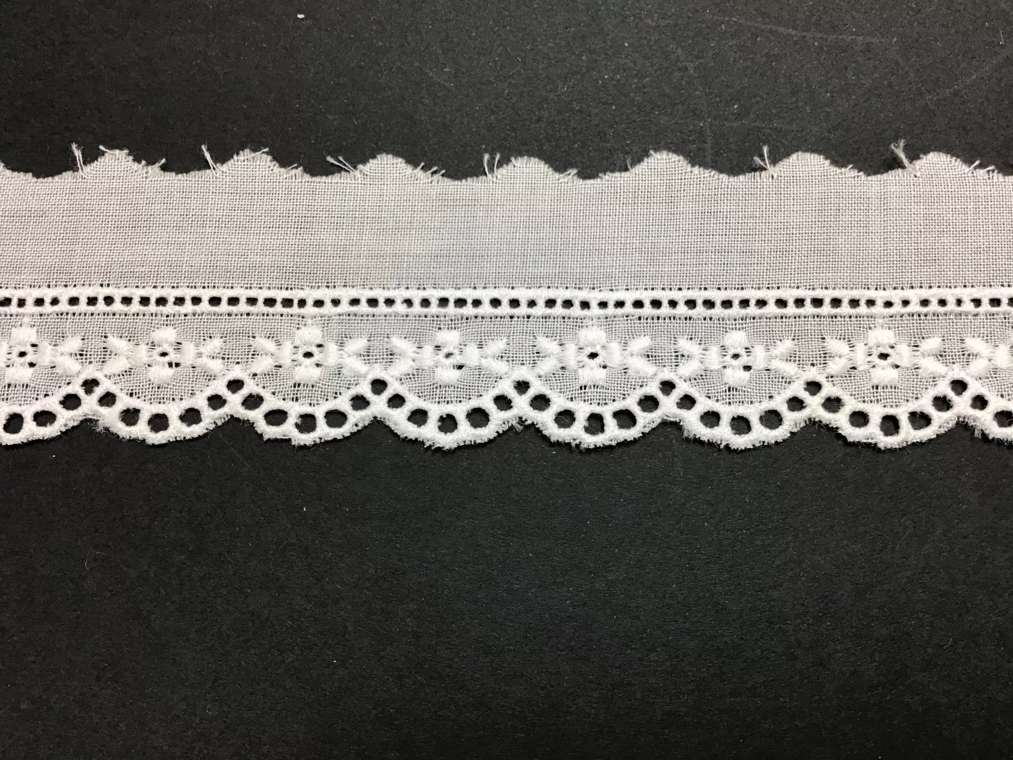 Swiss Embroidered Edging .5 Inch White48443-01