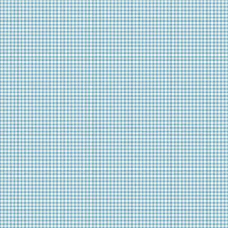 The Tale of Peter Rabbit Gingham Blue