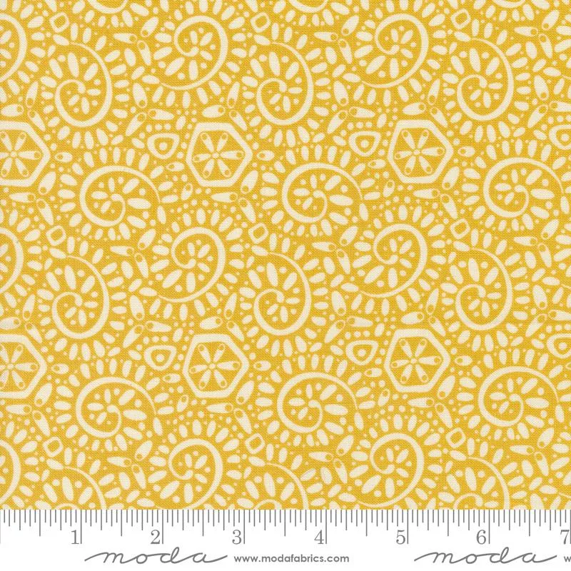 Tango Canto Sunshine 27337 17