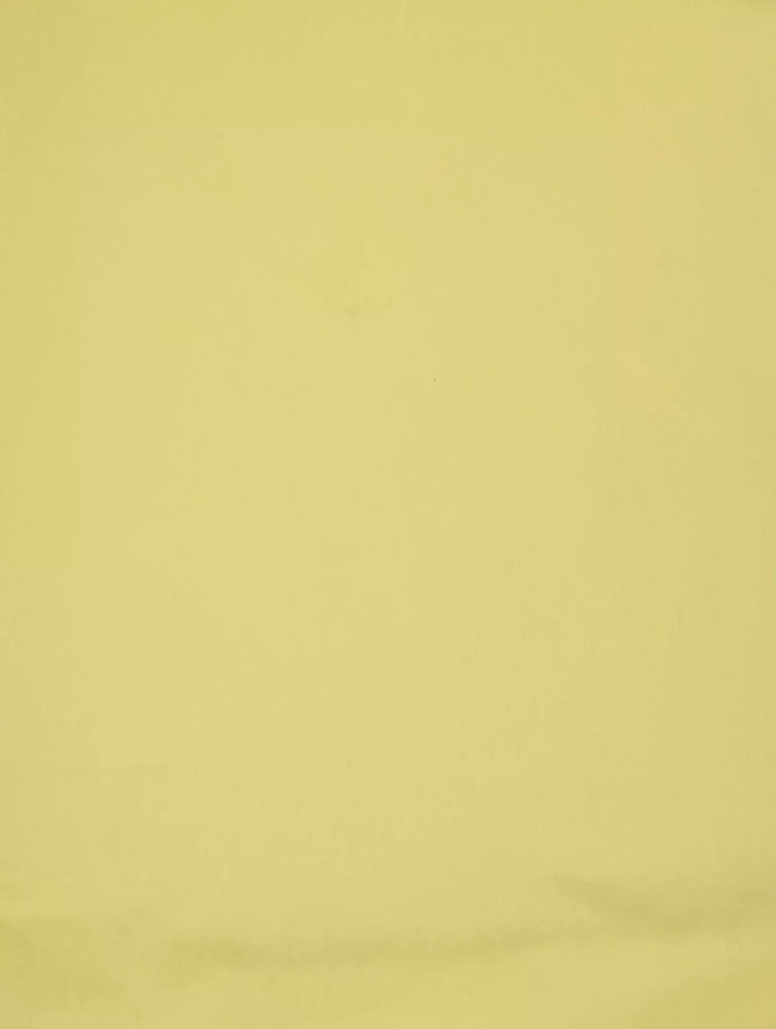 tender-yellow-solid-quilting-fabrics-sew-classic-solids Tender Yellow| Solid Quilting Fabrics | Sew Classic Solids|