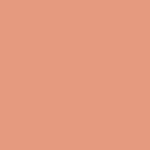 Tilda- Solid Cantaloupe