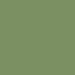 Tilda- Solid Pine TIL120041-V11
