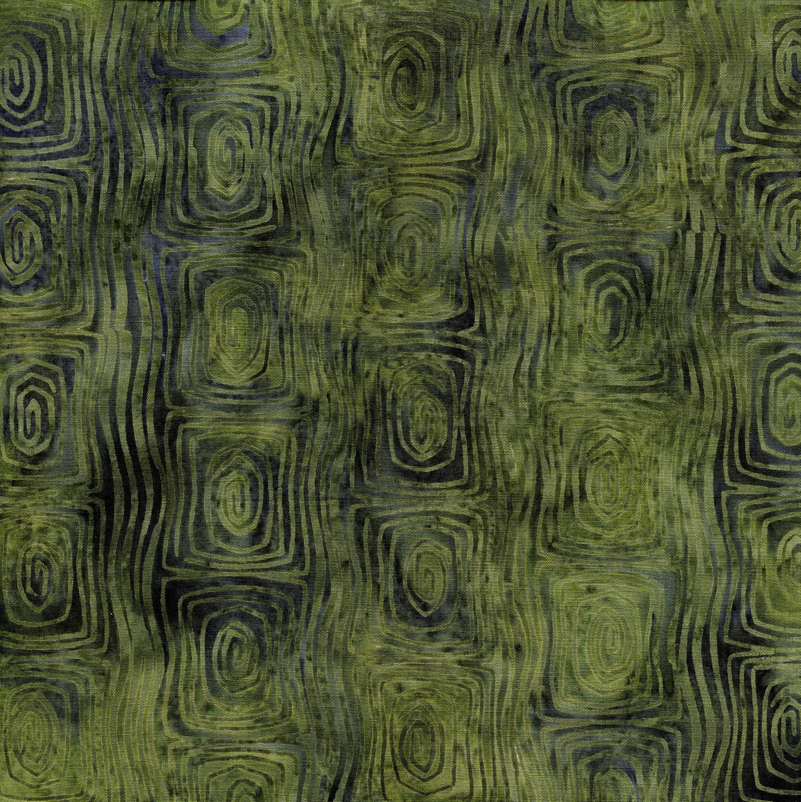 Tortoise Shell-Spinach