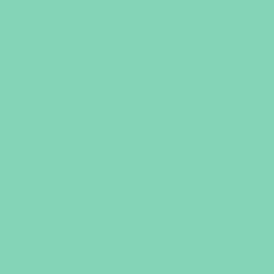 tula-pink-solids-julep-csfsess-julep Tula Pink Solids Julep CSFSESS-JULEP