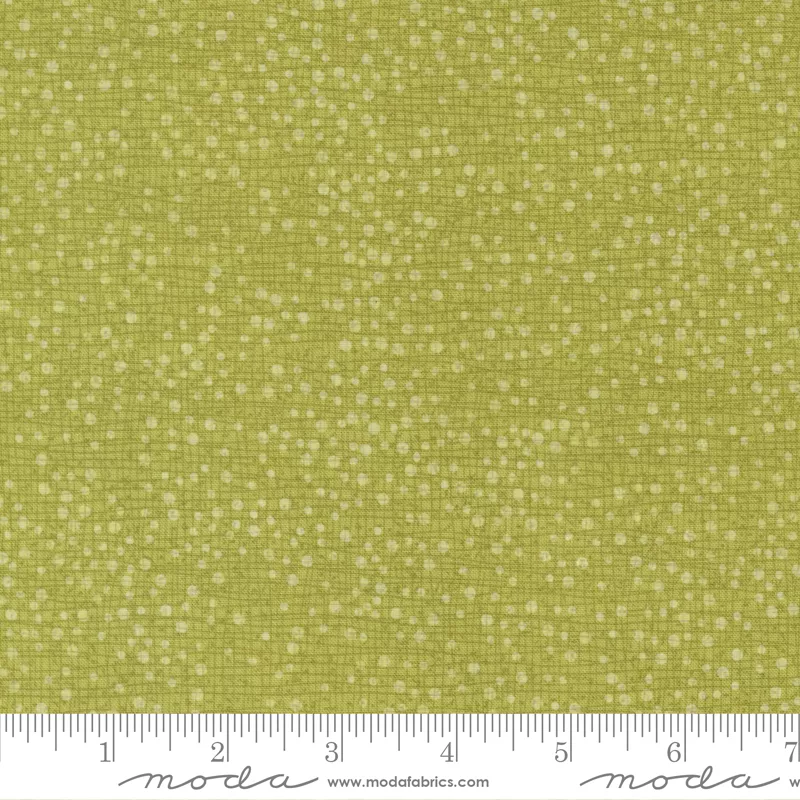 Tulip Tango Chartruese