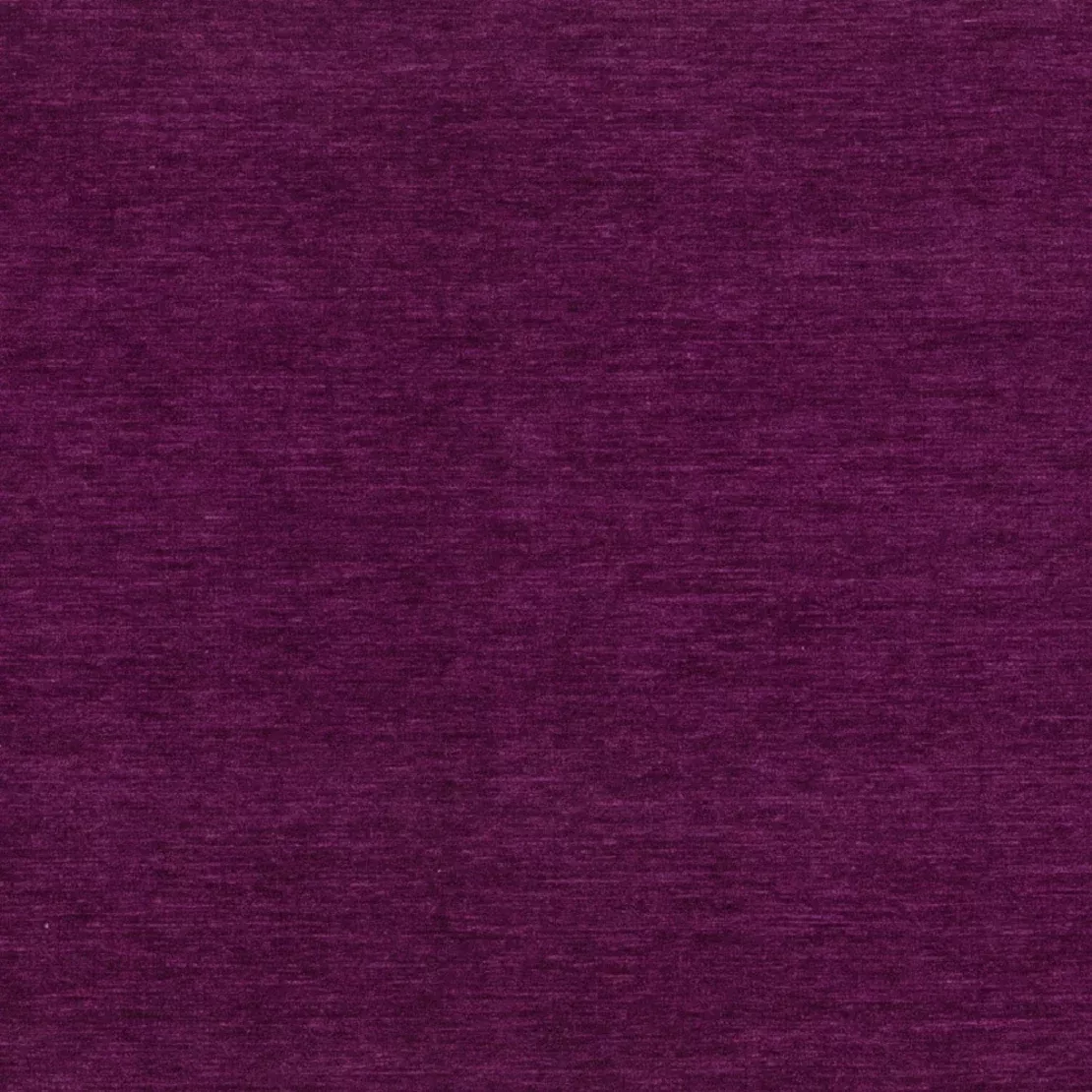 violet-34-chenille Violet 34 Chenille