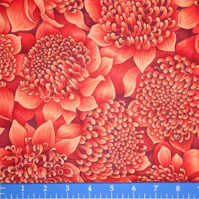 Waratah Bloom – 11200-3