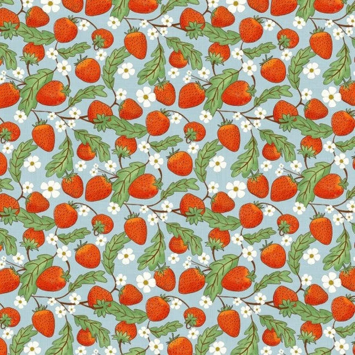 Whimsical Fields – Strawberries