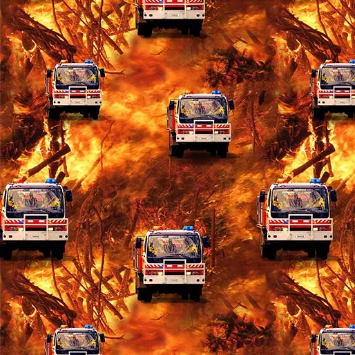wildfire-heroes-0109i Wildfire Heroes – 0109I