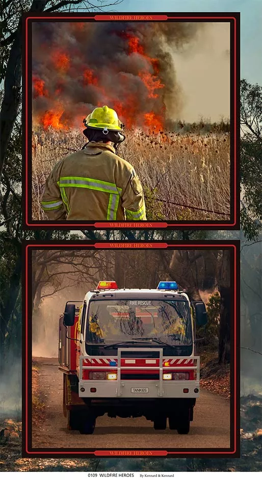 Wildfire Heroes Panel (B)