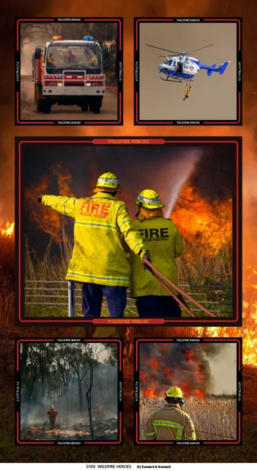wildfire-heroes-panel-c Wildfire Heroes Panel (C)