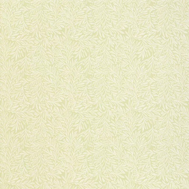 WILLOW LEAF SAGE