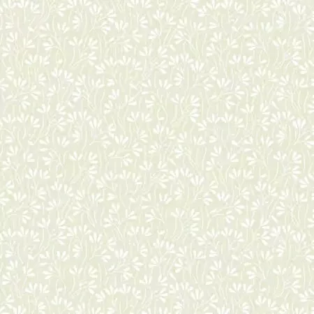 Wilmington Cream Sprouts