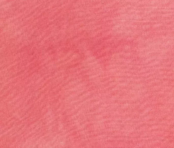 Windham Marcia Derse Basic Palette Solids Cactus Rose