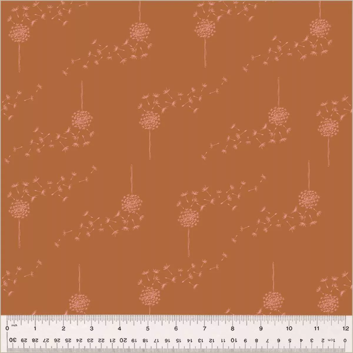 Wish Pumpkin Organic by Monaluna
