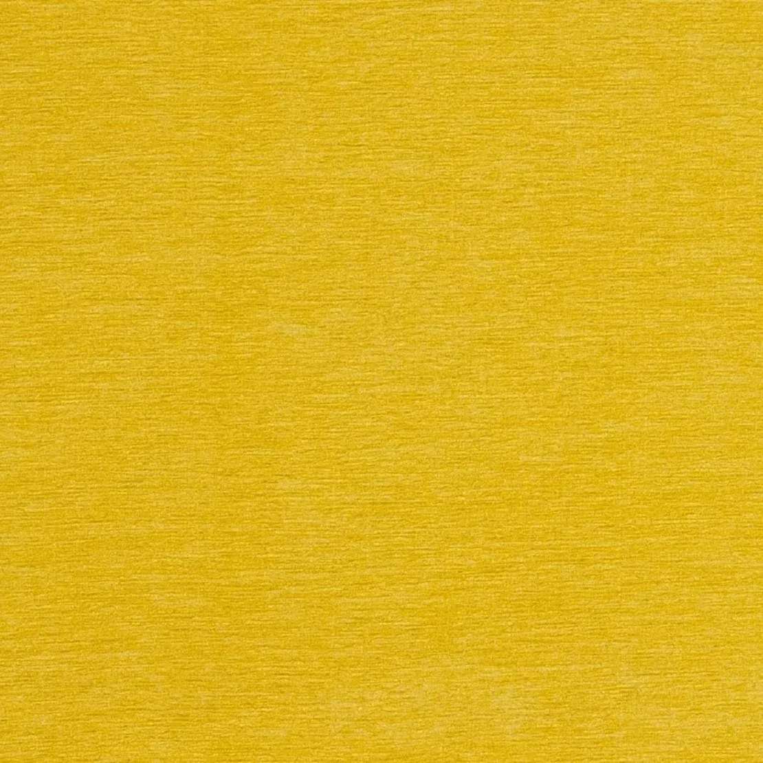 yellow-chenille Yellow Chenille