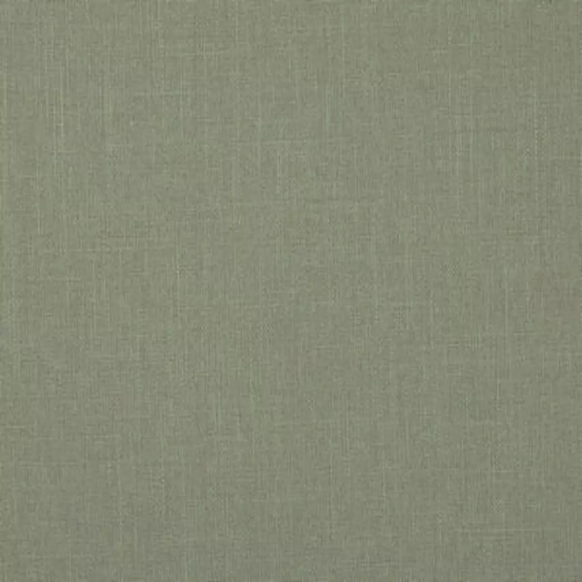 York Dove Covington Fabric